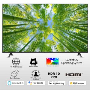 LG UQ80 65 inch 4K Ultra HD LED Smart WebOS TV